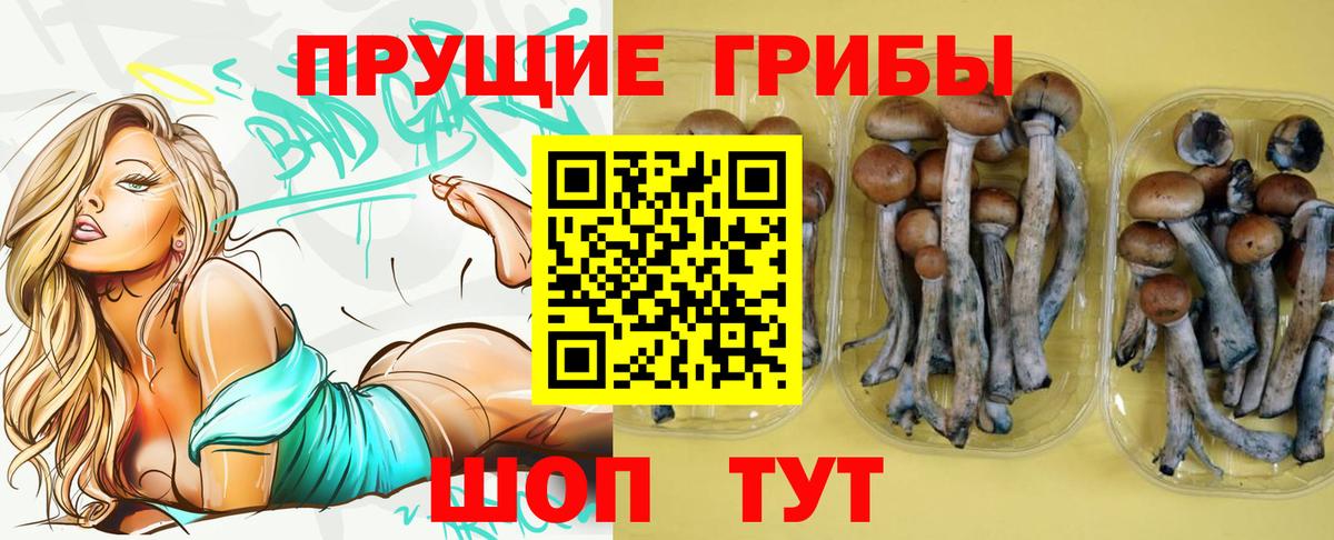 Галлюциногенные грибы мицелий Родники