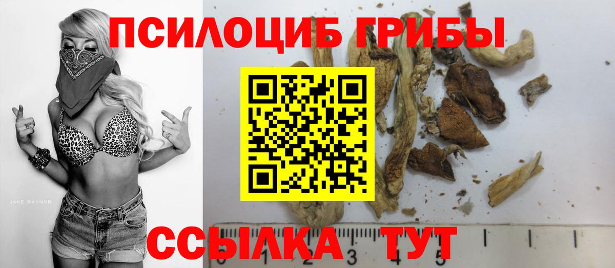 Родники  Галлюциногенные грибы Cubensis  Вход с VPN 